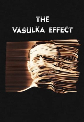 The Vasulka Effect