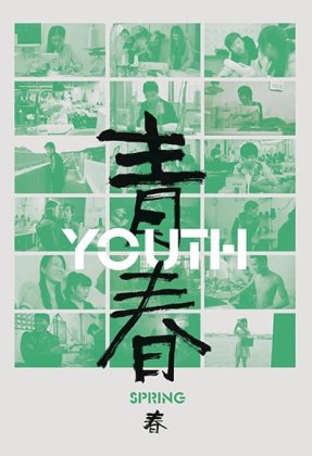 Youth (Spring) AKA Qingchun